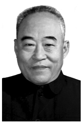 王怀仁