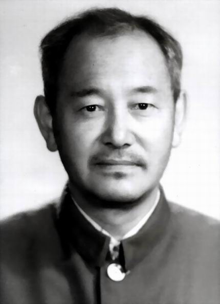 崔振武