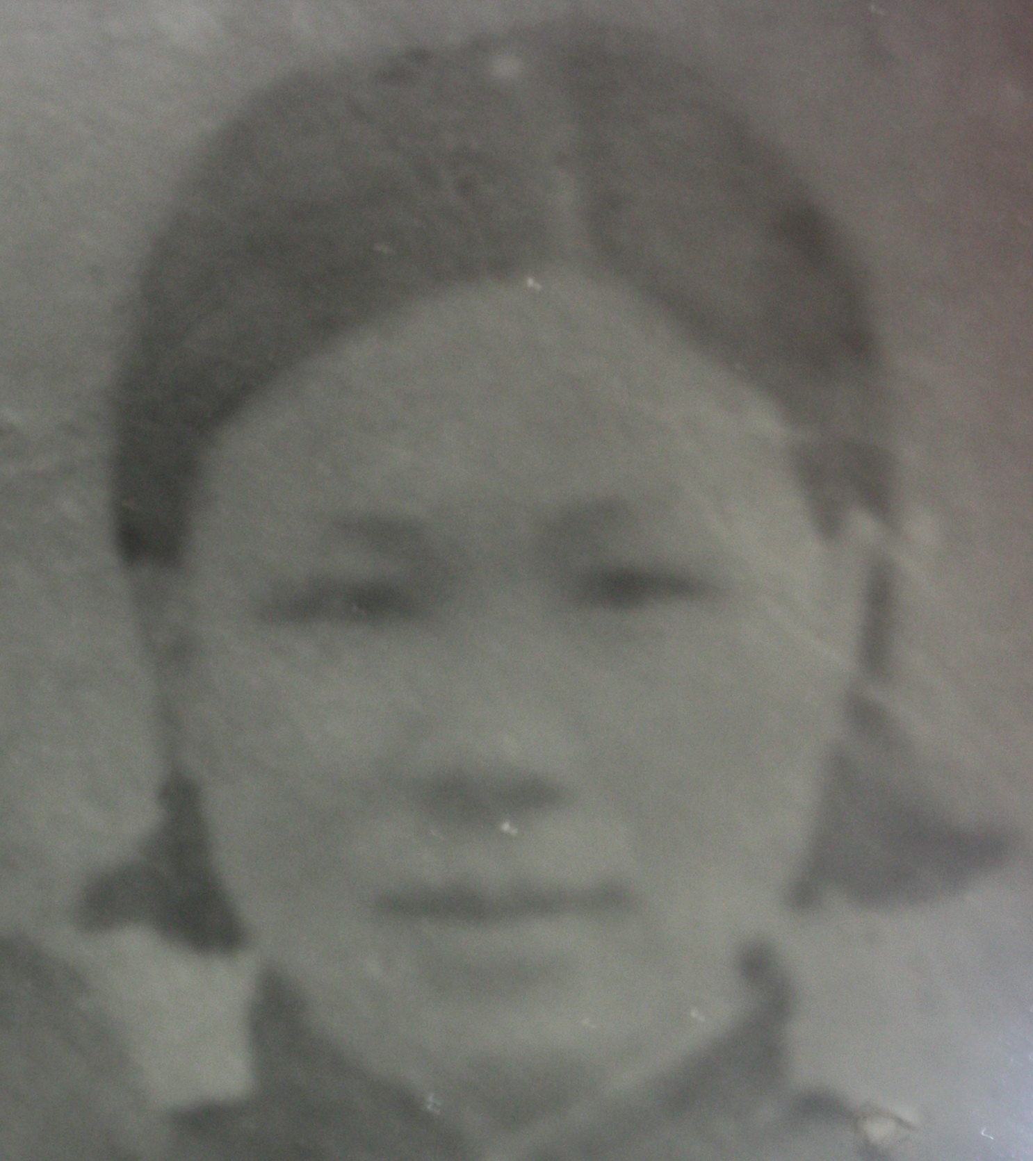 卢氏藻秀