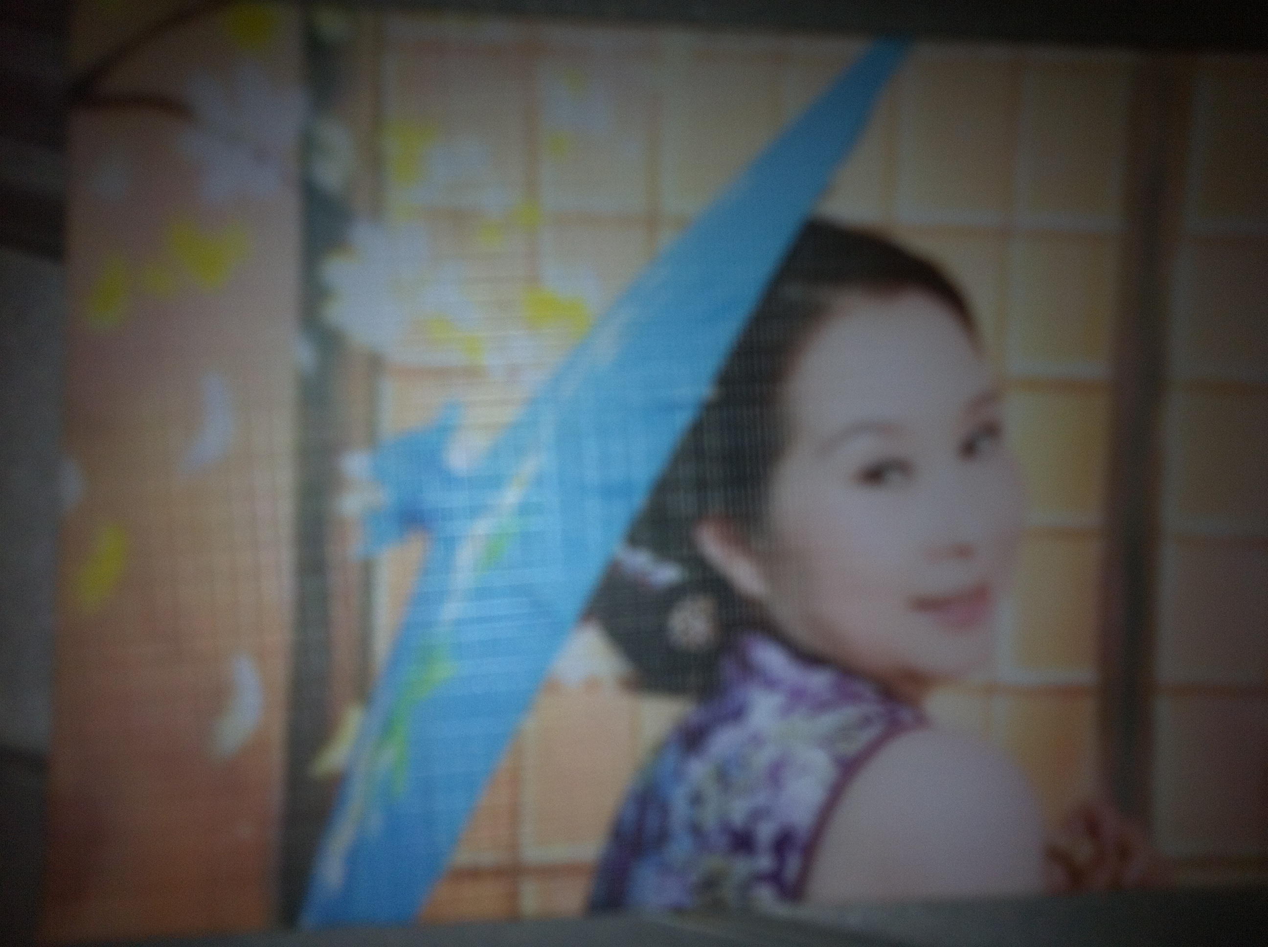 萍儿