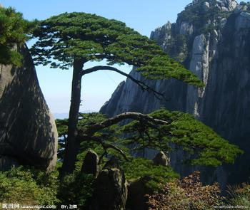 李生法