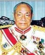 陶法阿豪·图普