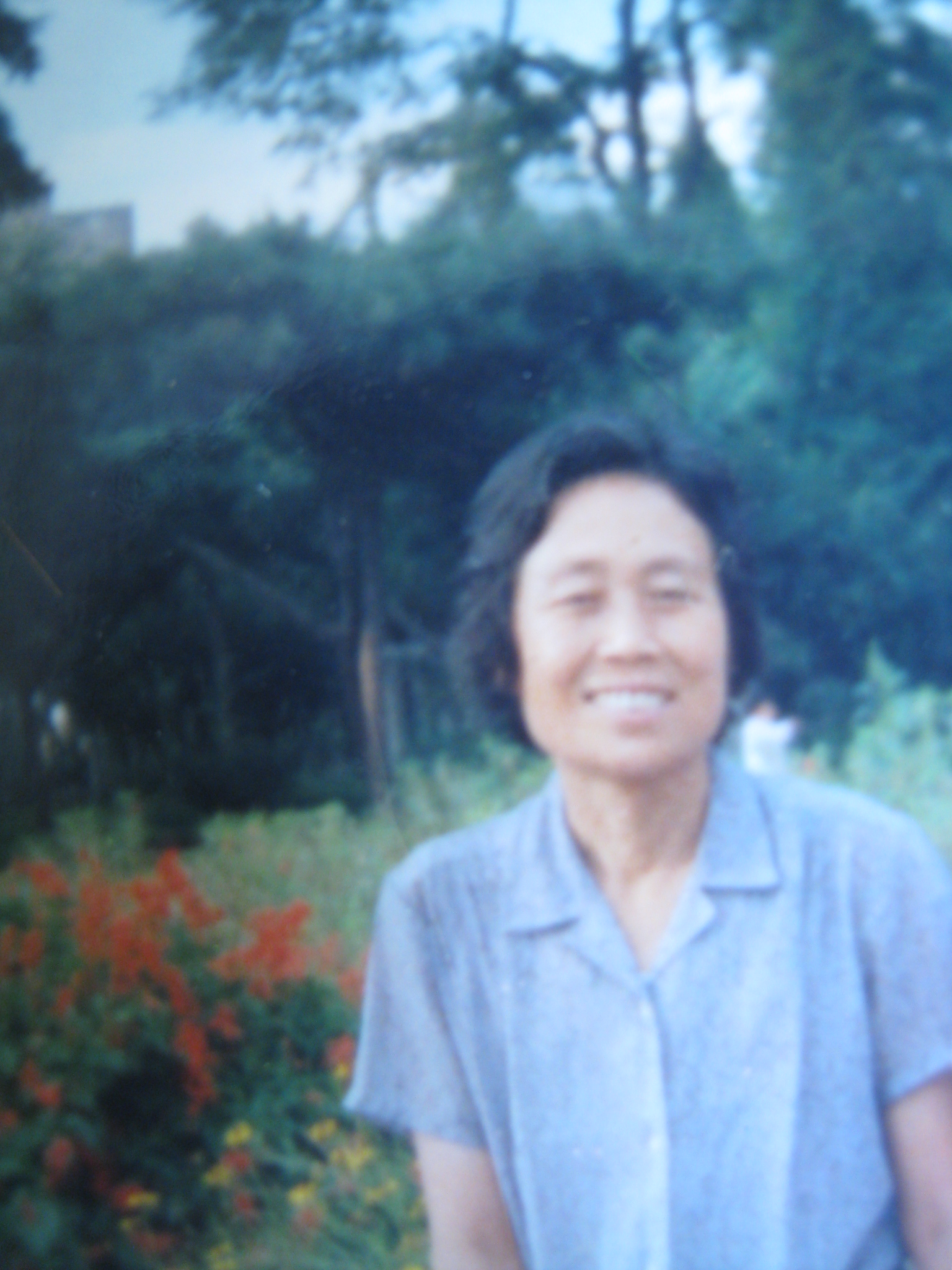 杨令昭