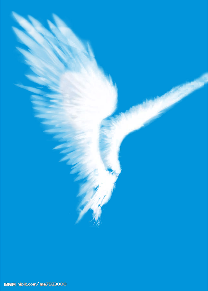 宝贝