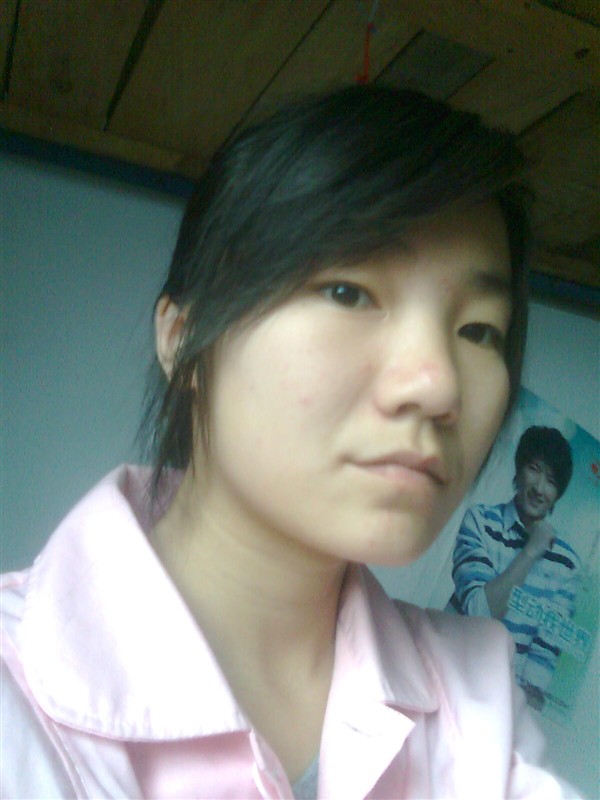 杨崇