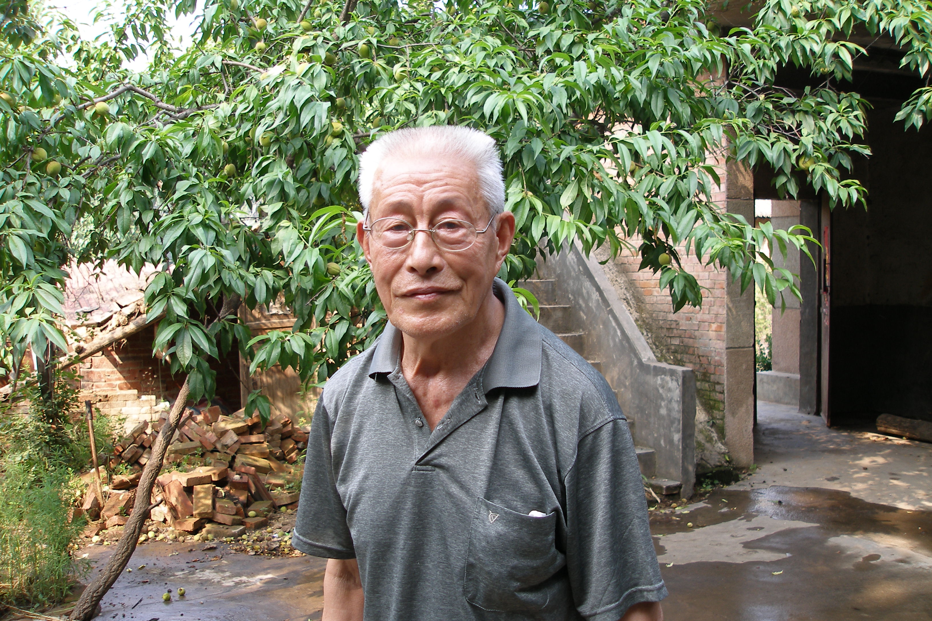白述文