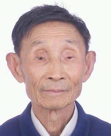 龙成华