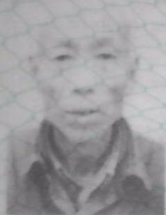段正印