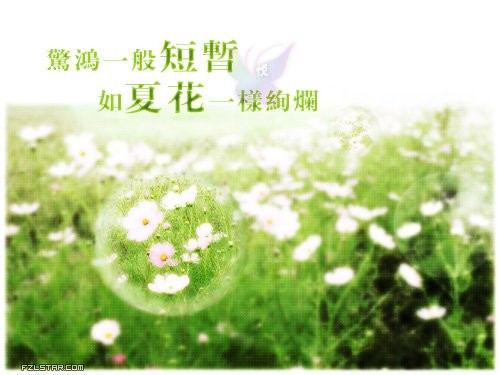 醉酒陪笑三万天