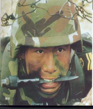 yzdjj