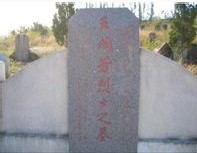 王成芳