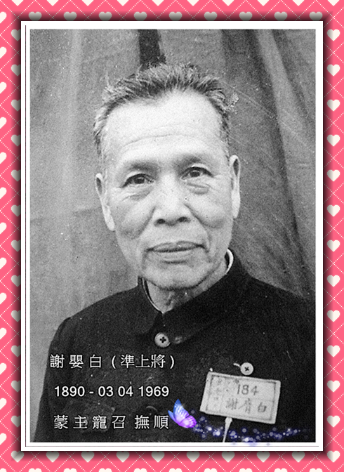 谢婴白