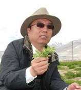 张宇