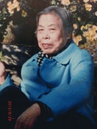 陈慧娟