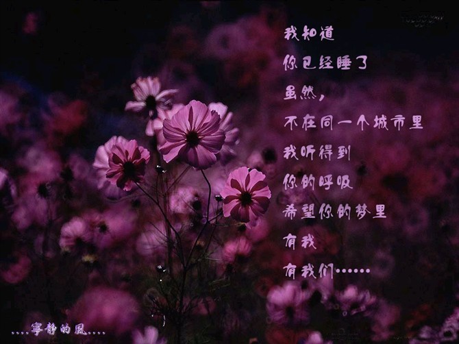 兀自起舞
