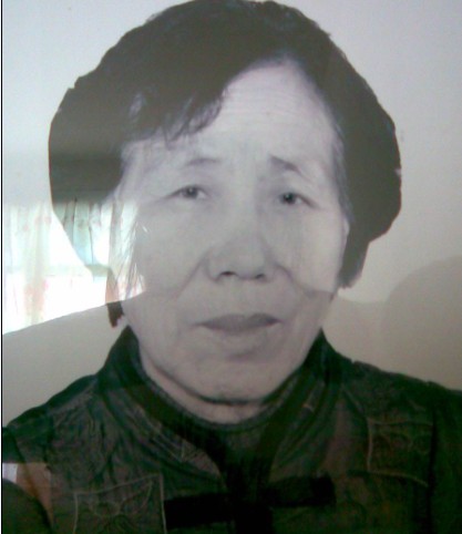 张风莲