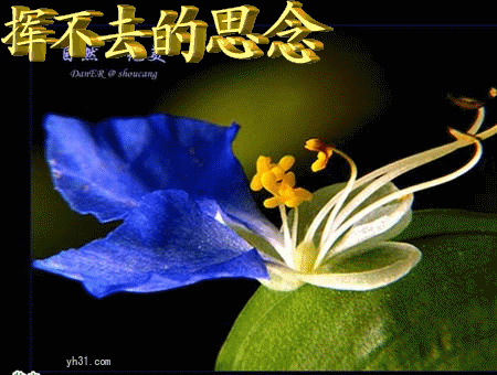 天堂纪念网