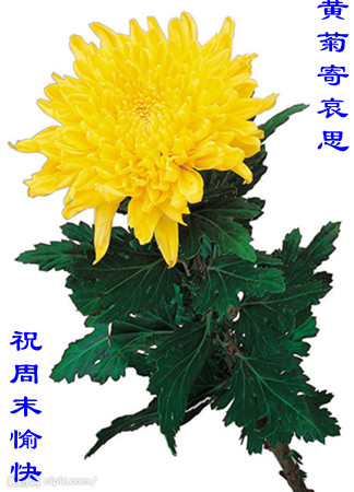 天堂纪念网