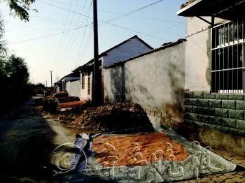 上门女婿下跪求复婚未果 捅死岳母捅伤妻子