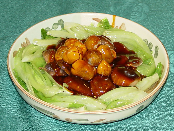 天堂纪念网