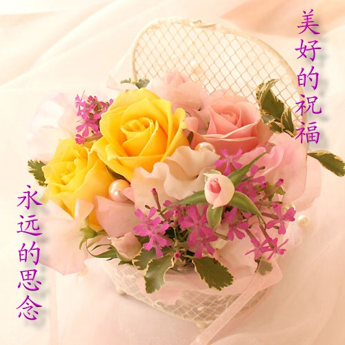 天堂纪念网