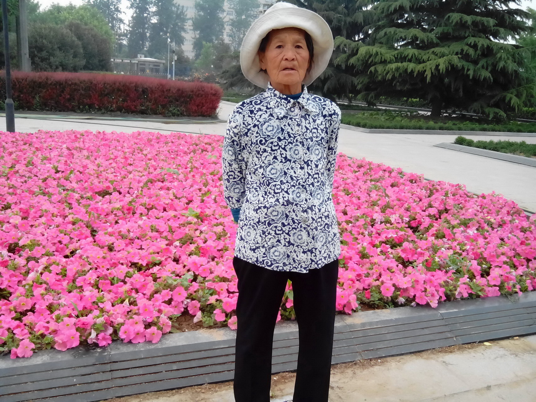 王芝兰