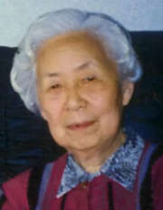 金文华