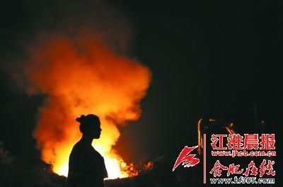 男子十年收养数百只流浪狗 冰柜藏109具狗尸