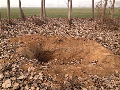 河南禹州6人团伙杀8人埋尸主犯家中埋多具尸体