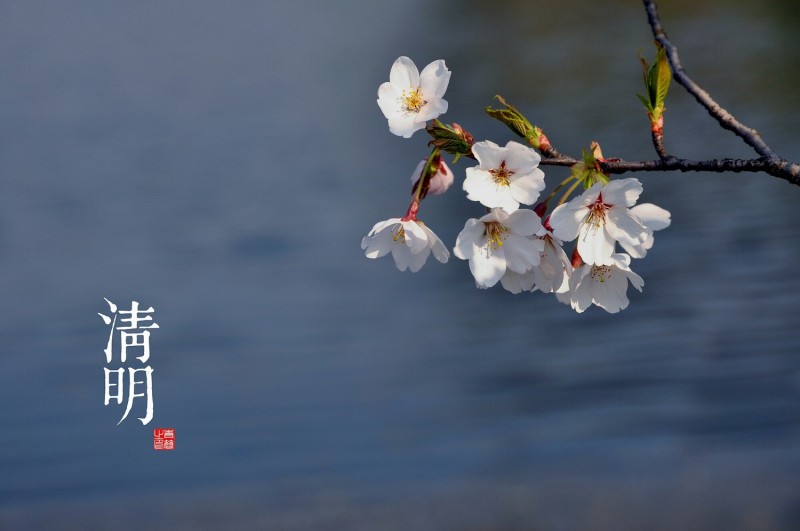 秋云飞