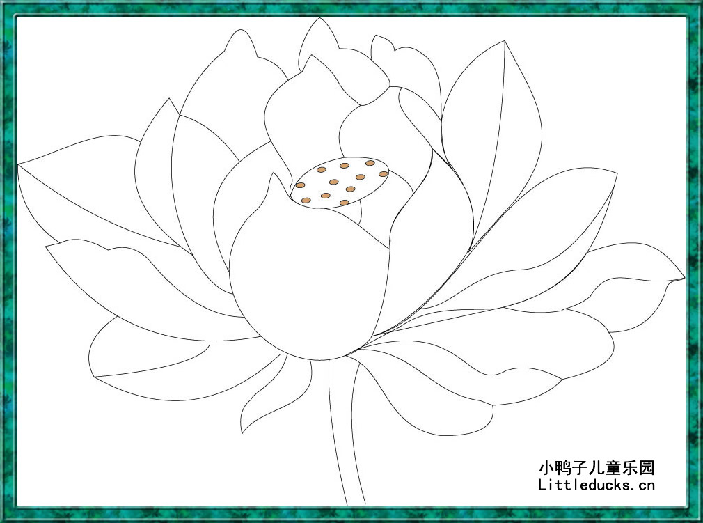 赵雅杰