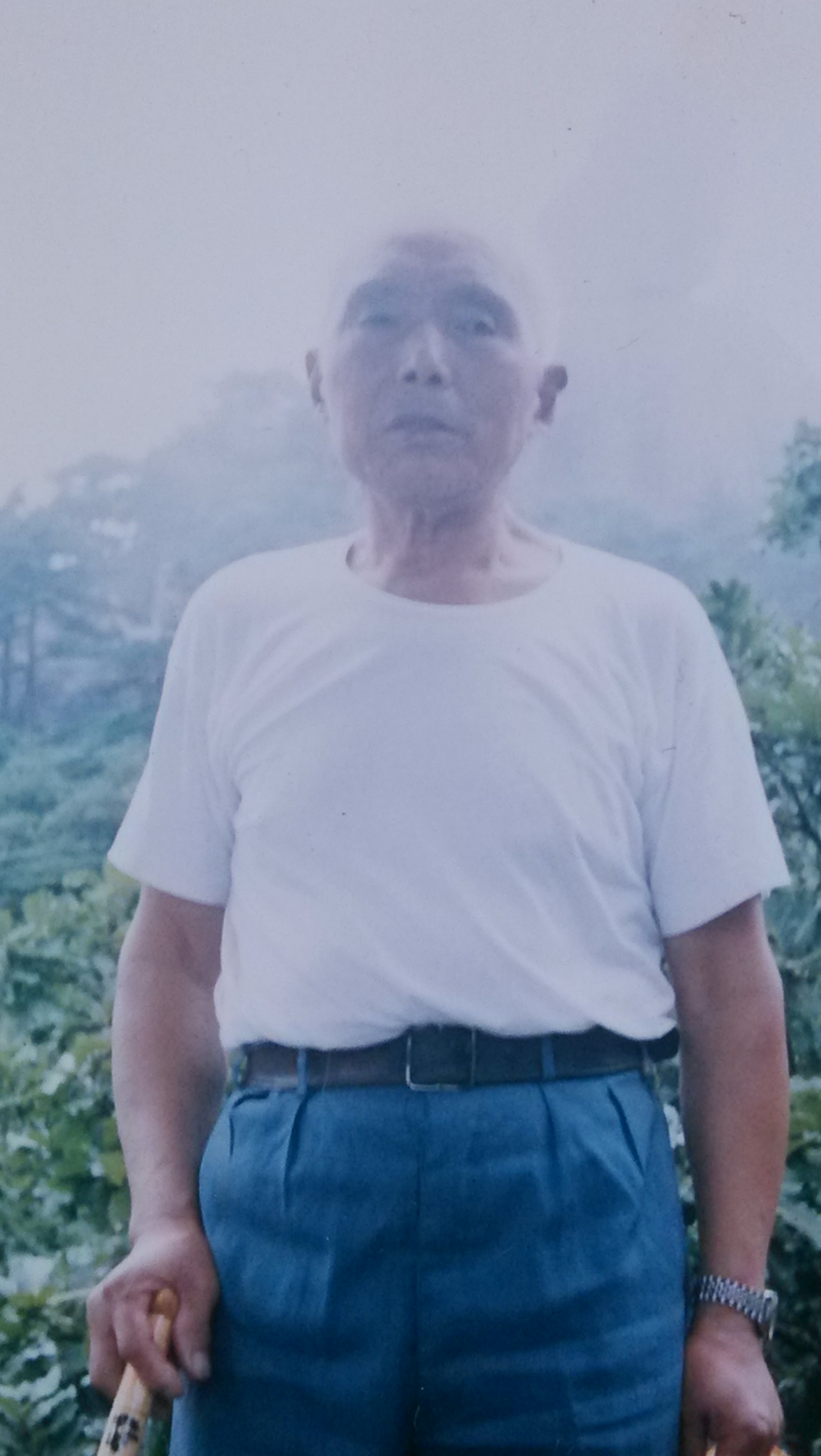 尚文学