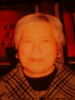 马氏金侠