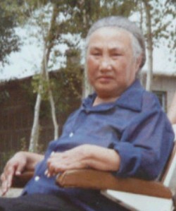 徐树新