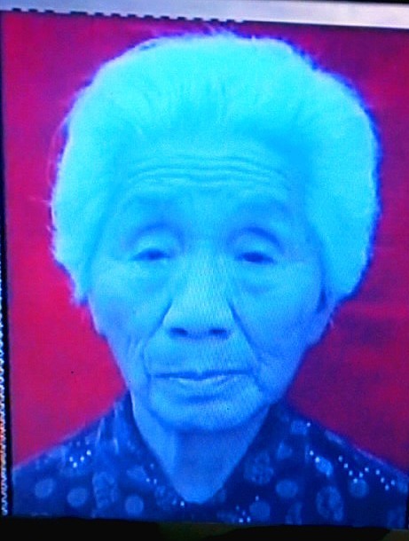 慈母庞爱花