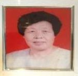 母亲杨梅芳