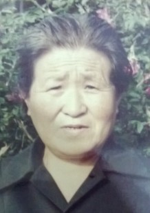蔡文珍