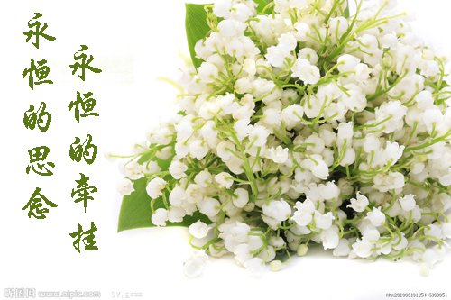 天堂纪念网