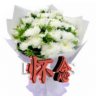 天堂公墓纪念网