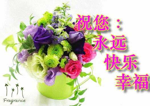 天堂公墓纪念网