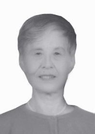 沈如镜