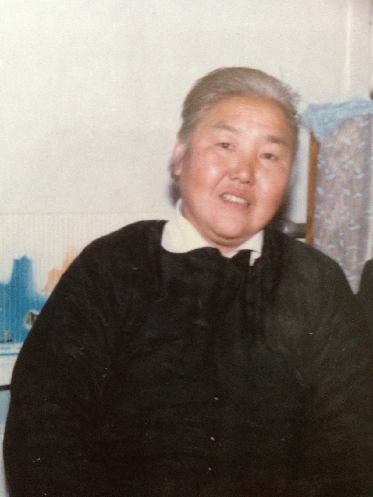 术风兰