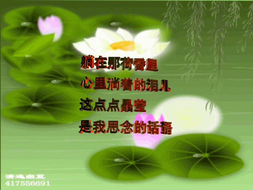 天堂公墓纪念网
