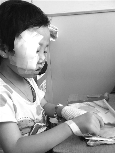 5岁女童被邻家藏獒撕咬毁容