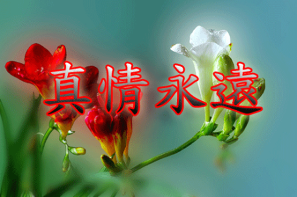 天堂公墓纪念网