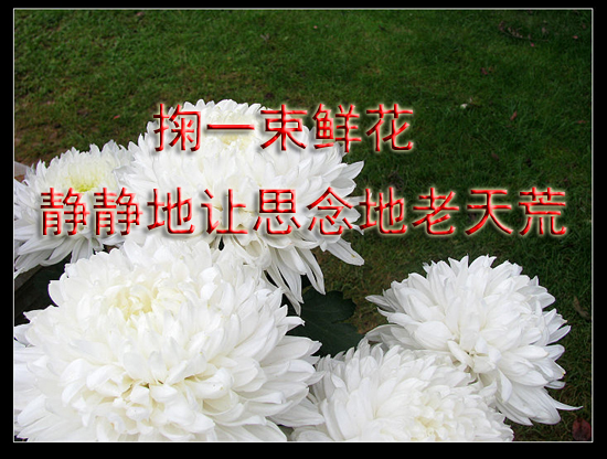 天堂公墓纪念网
