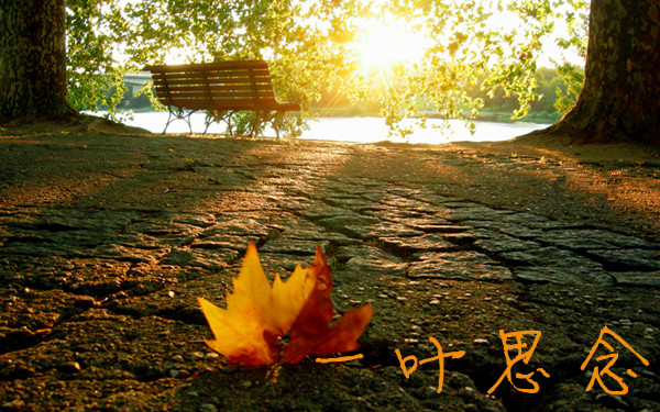 天堂纪念网