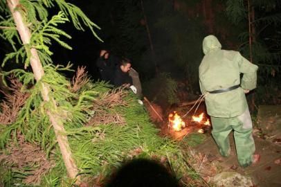7岁女孩在放学路上被毒蜂袭击身亡