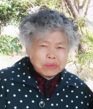 慈母郑天琼