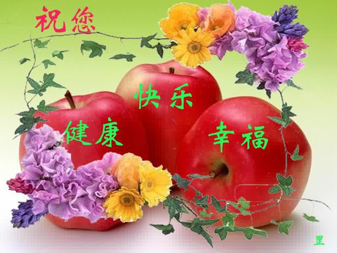 天堂纪念网